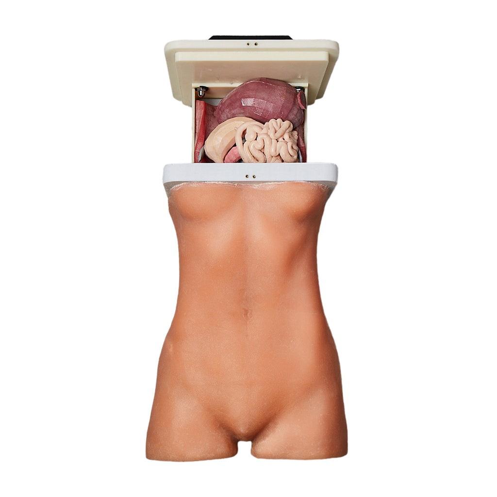 Rhea - Paediatric Torso Trainer